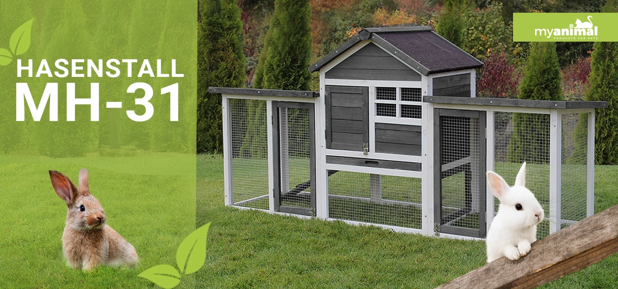 MyAnimal Hasenstall MH-31