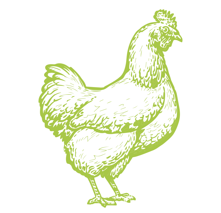 MyAnimal Hühnerstall für 4 Hühner MH-04 mit Eiablage