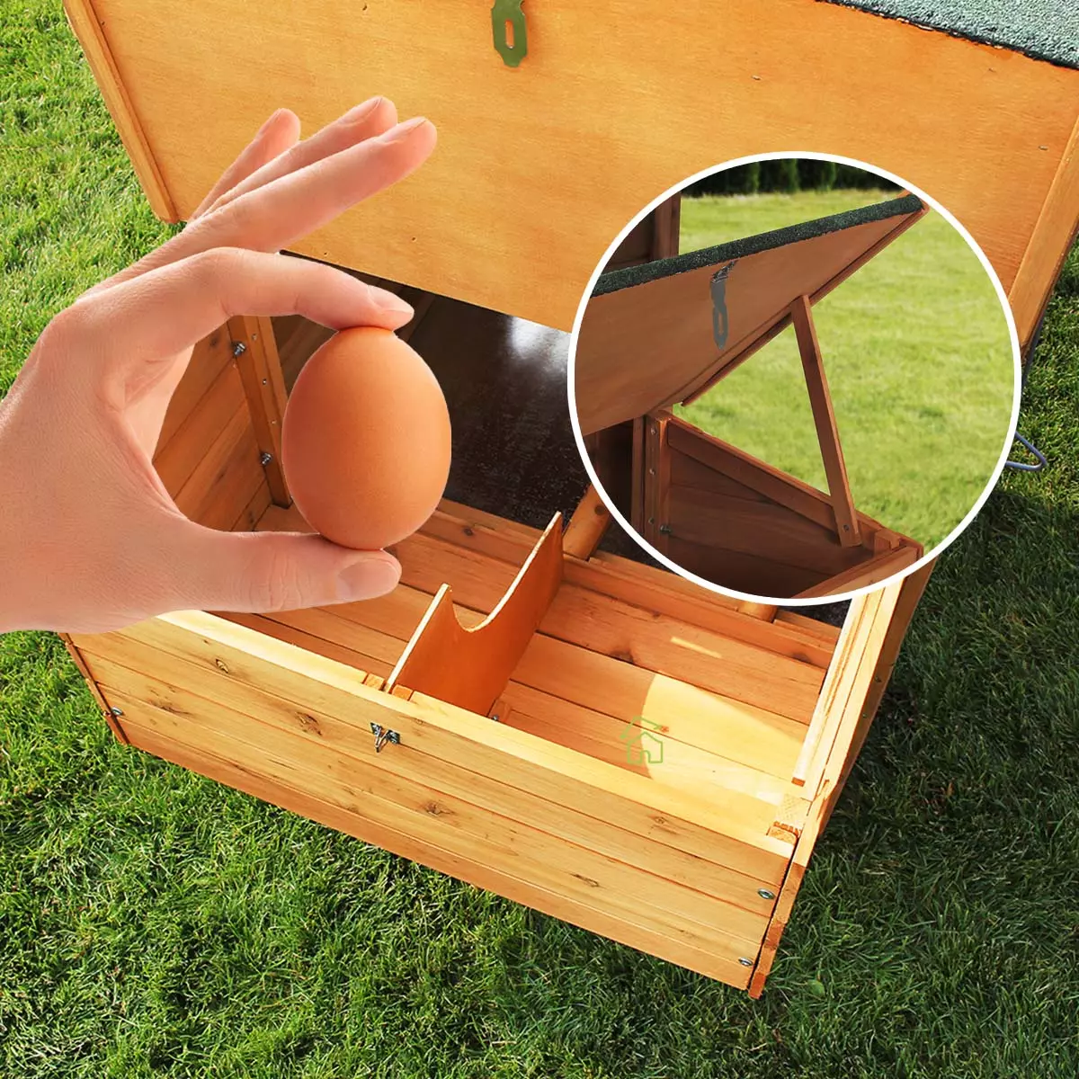 Entnehmen Sie die Eier kinderleicht aus dem Hühnerhaus MyAnimal Hühnerstall für 4 Hühner MH-04 mit Eiablage