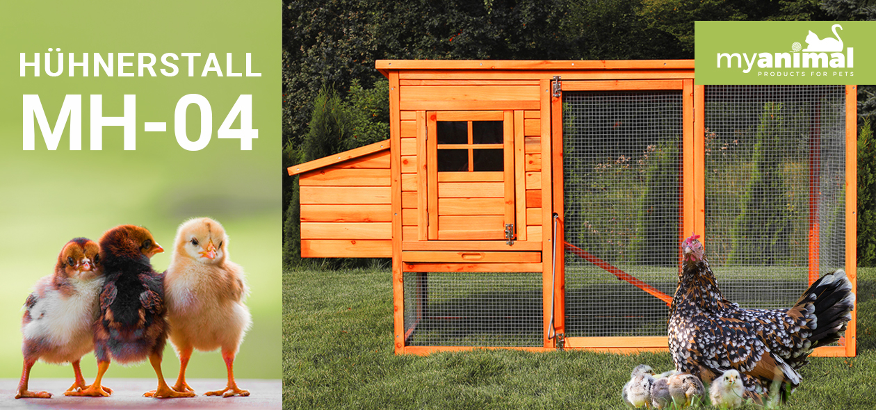 MyAnimal Hühnerstall für 4 Hühner MH-04 mit Eiablage MyAnimal Hühnerstall für 4 Hühner MH-04 mit Eiablage